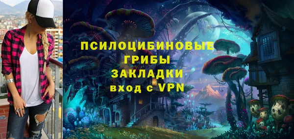 дмт Верея