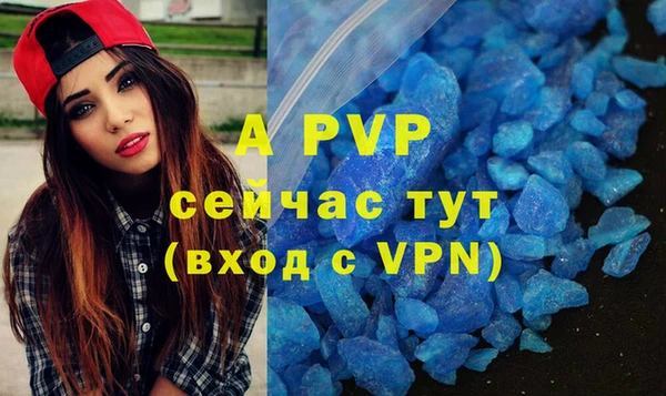 дмт Верея